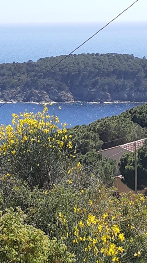 Residence La Calle Isola D'Elba Luaran gambar