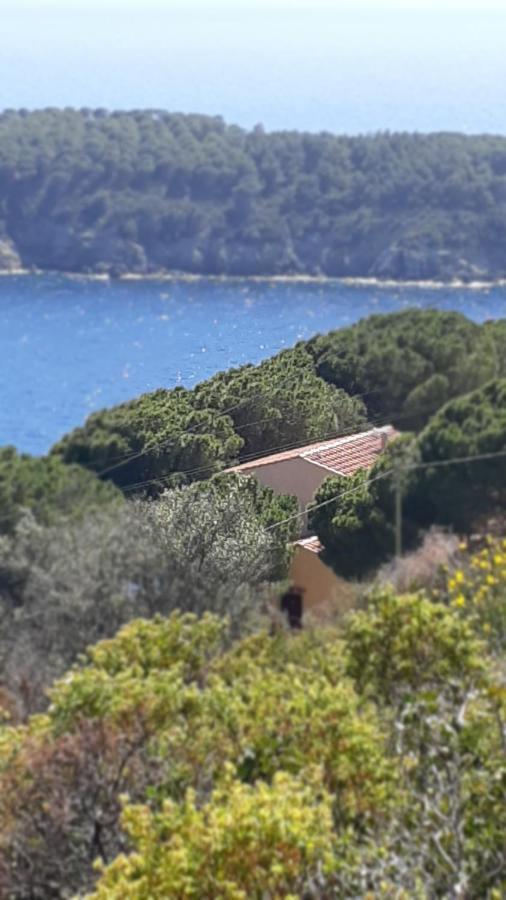 Residence La Calle Isola D'Elba Luaran gambar