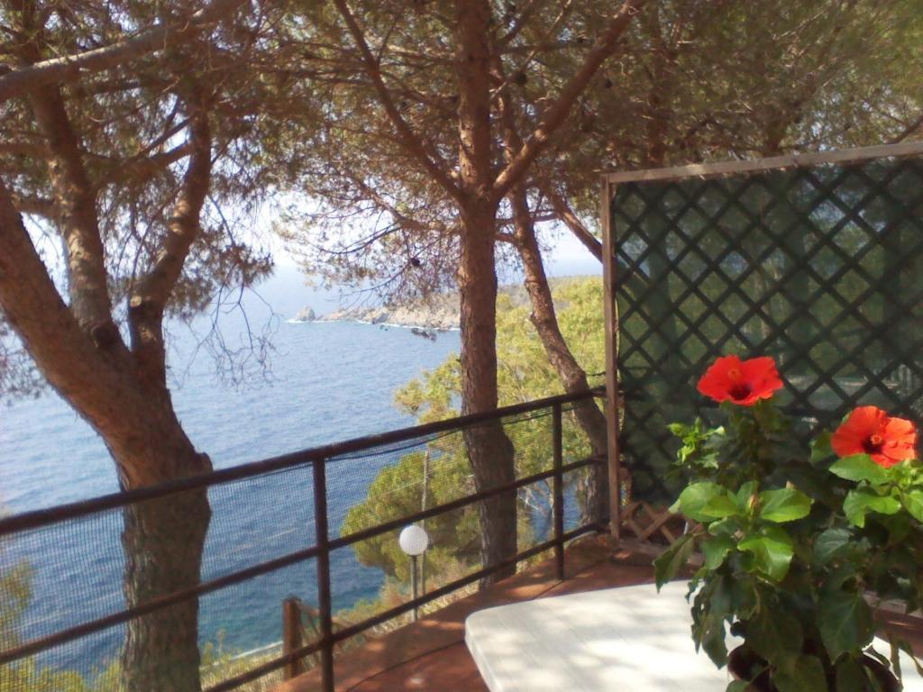 Residence La Calle Isola D'Elba Luaran gambar